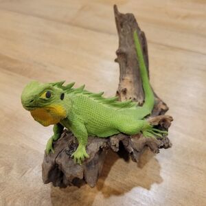 Lizard on a wood log